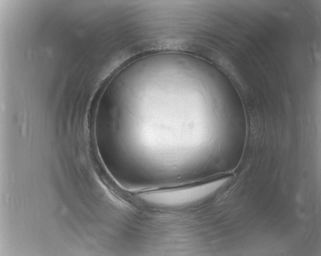 X0000052550674200507152200