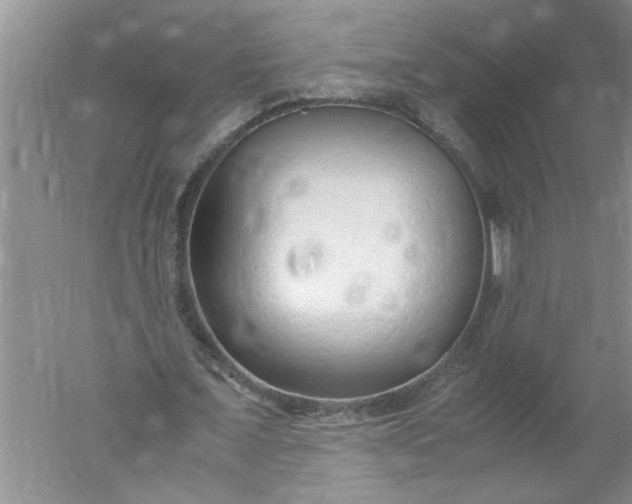 X0000052550675200507152200