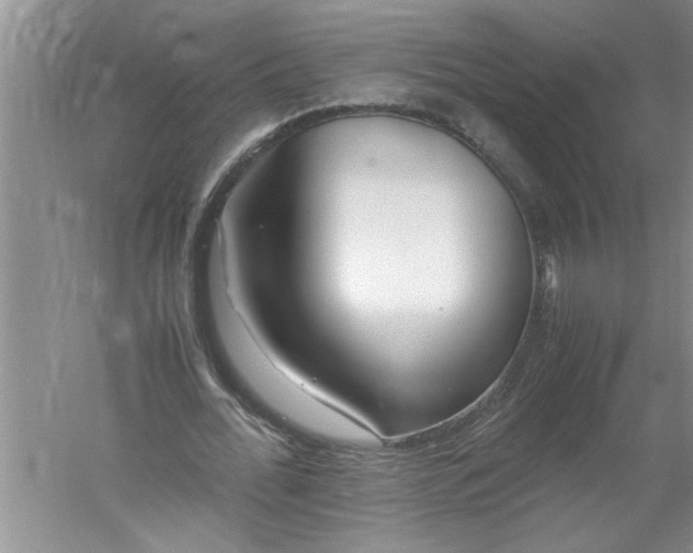 X0000052550676200507152200