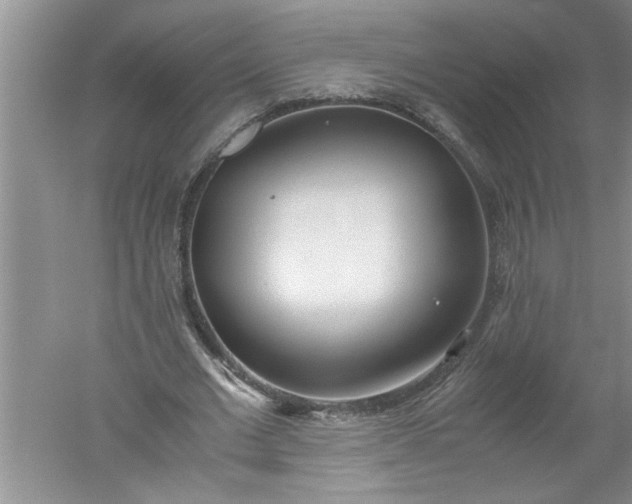 X0000052550677200507152200