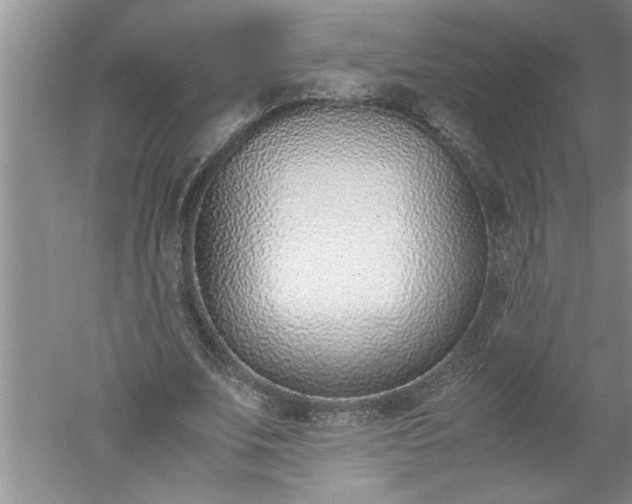 X0000052550679200507152200