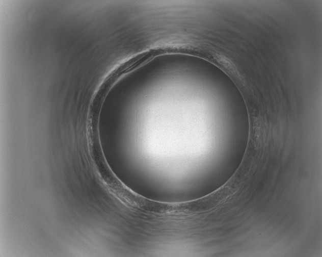 X0000052550680200507152200