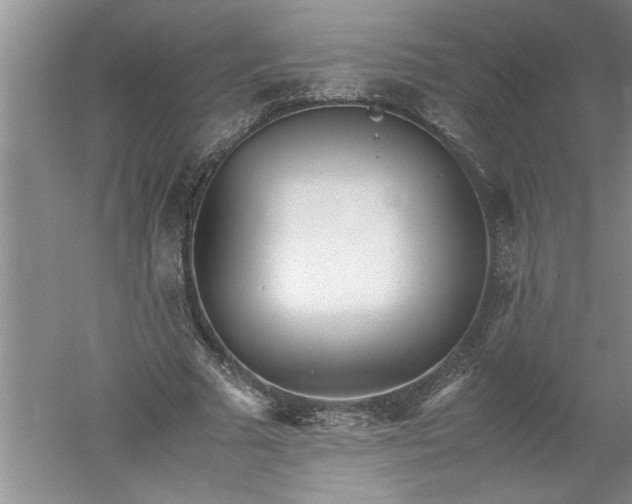 X0000052550681200507152200