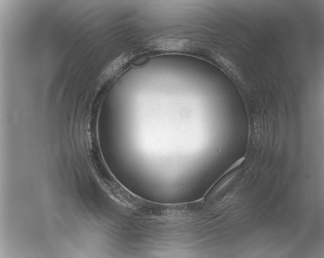 X0000052550682200507152200