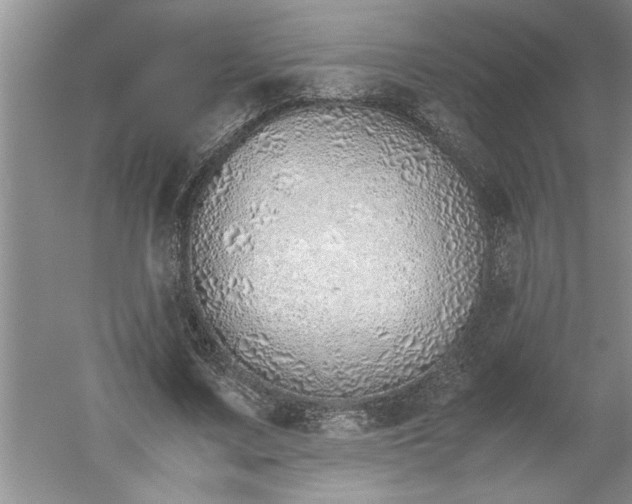 X0000052550683200507152200