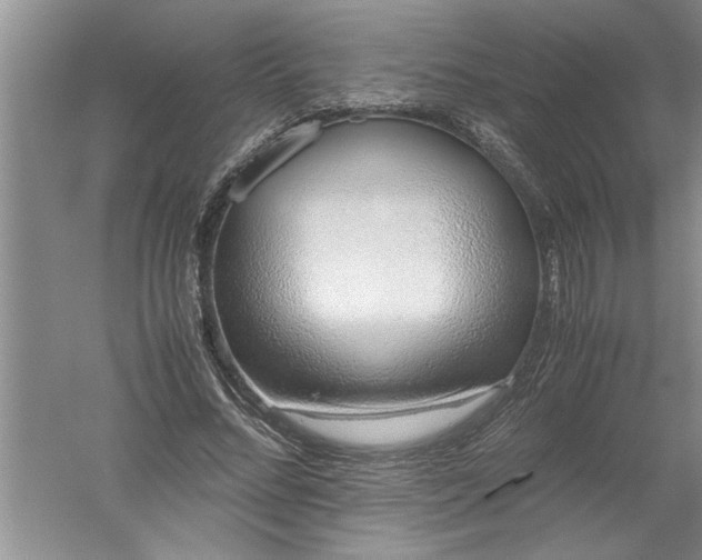 X0000052550684200507152200