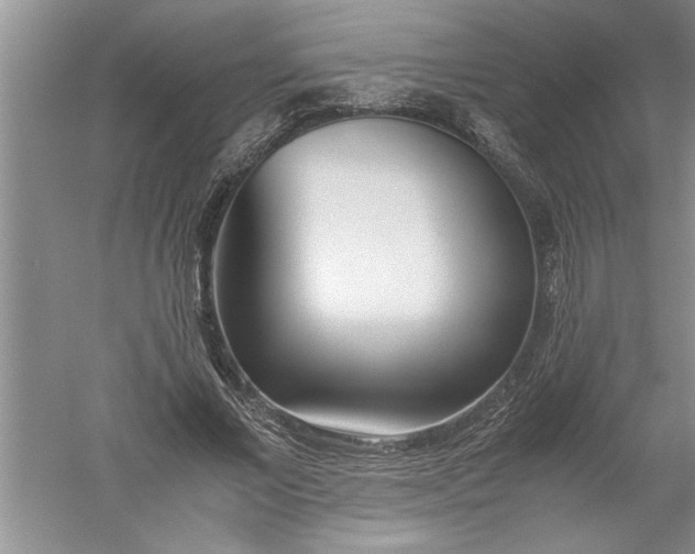 X0000052550685200507152200