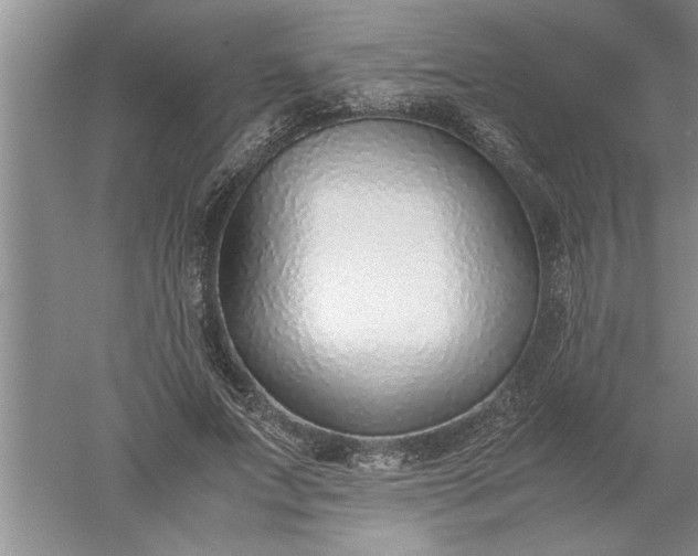 X0000052550687200507152200