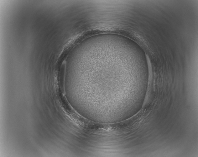 X0000052550688200507152200