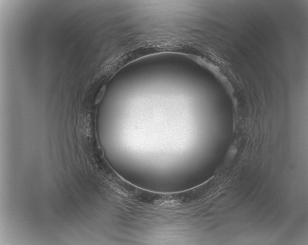 X0000052550689200507152200