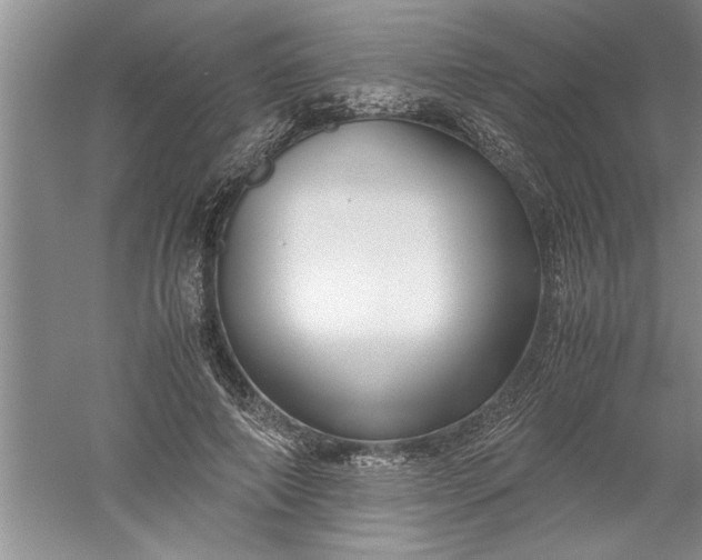 X0000052550690200507152200