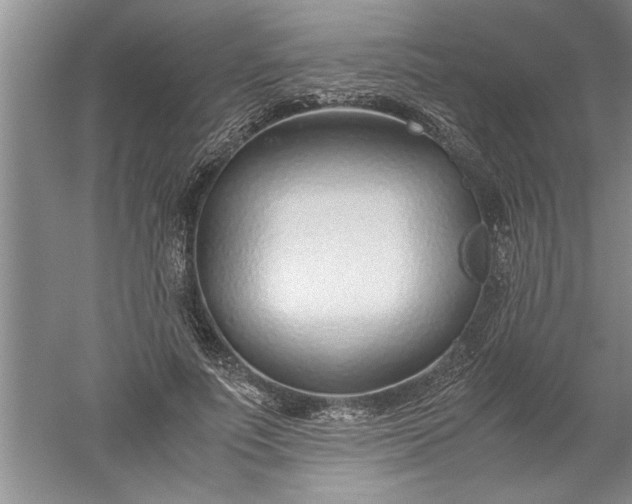 X0000052550691200507152200