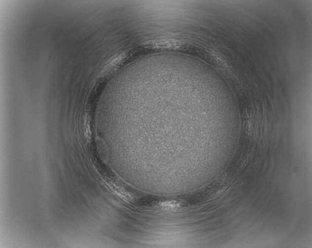 X0000052550692200507152200