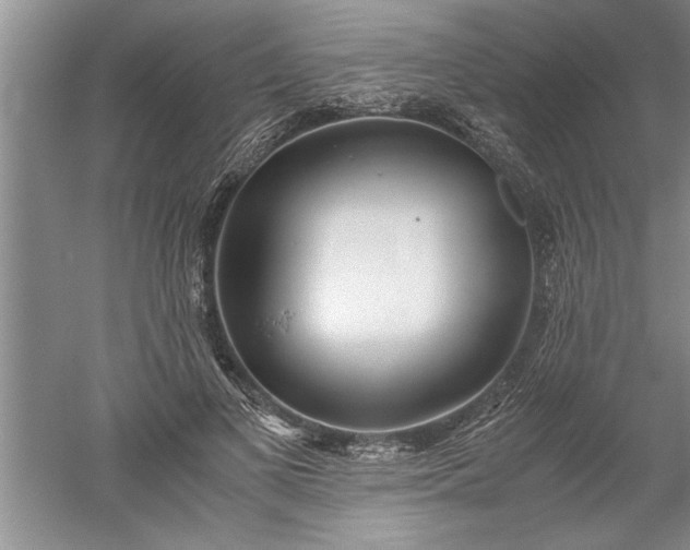 X0000052550693200507152200