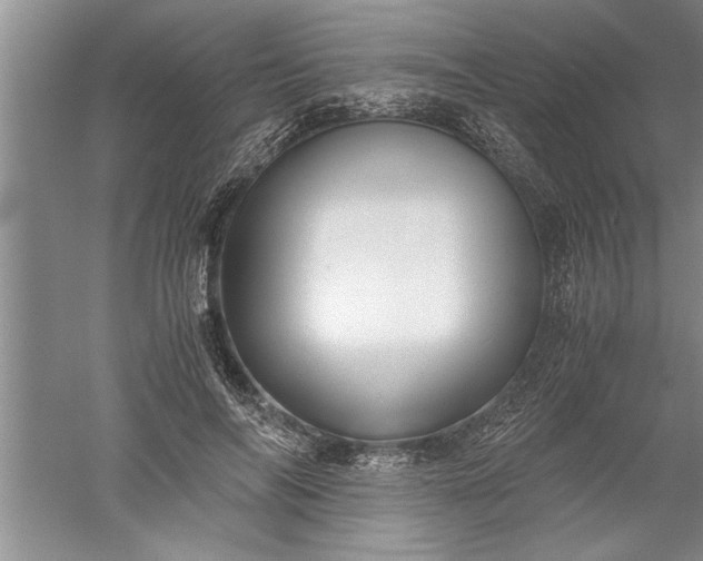 X0000052550694200507152200