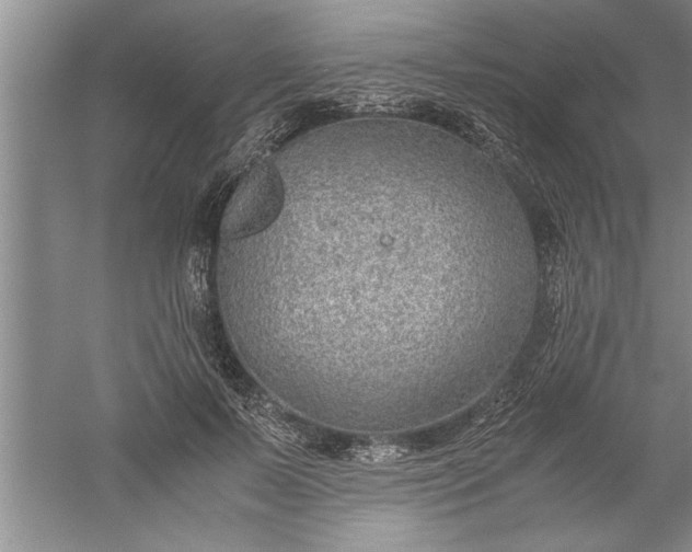 X0000052550695200507152200