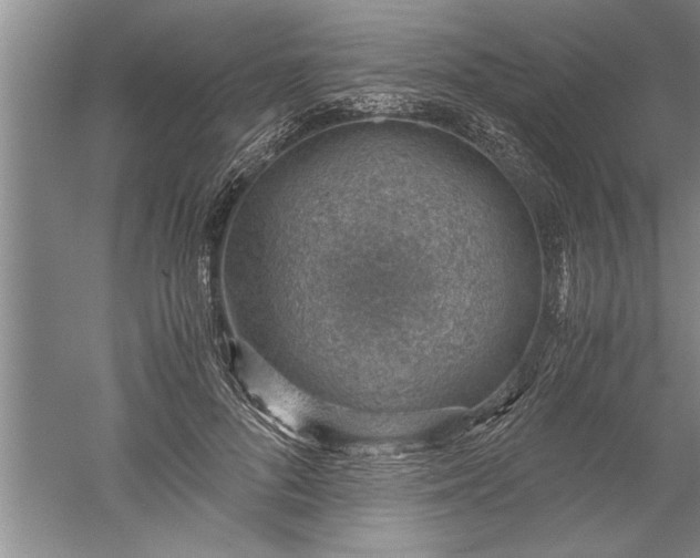 X0000052550696200507152200