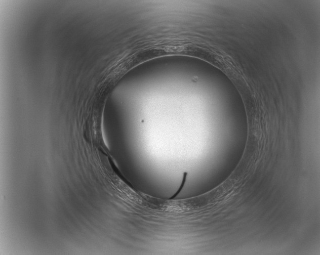 X0000052550697200507152200