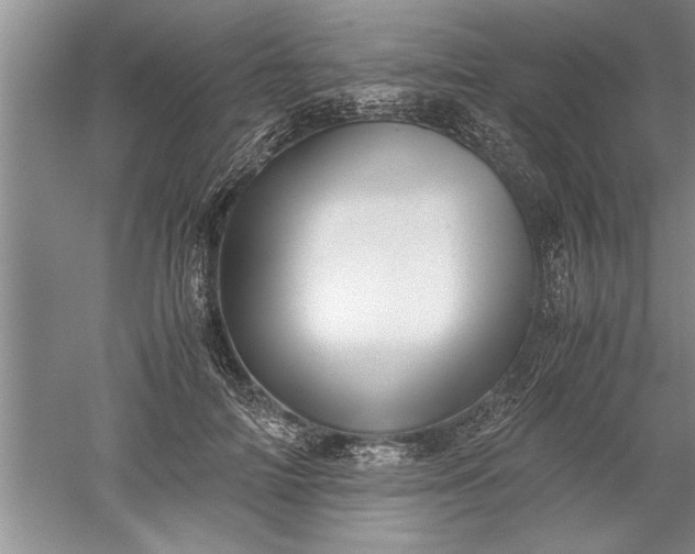 X0000052550698200507152200