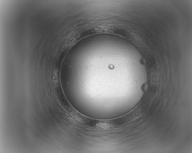 X0000052550699200507152200