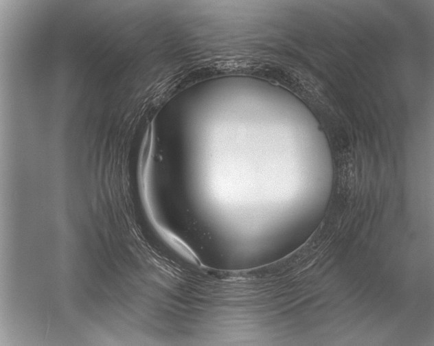 X0000052550700200507152200