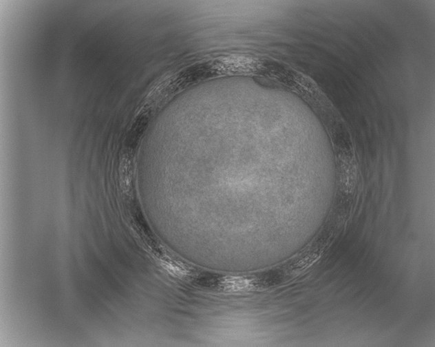 X0000052550701200507152200