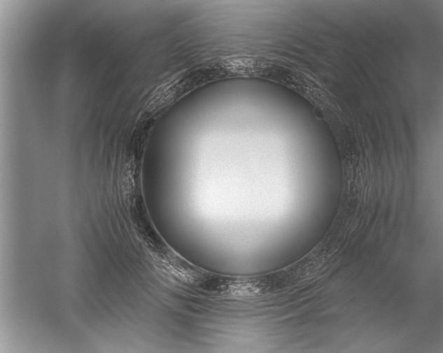 X0000052550702200507152200