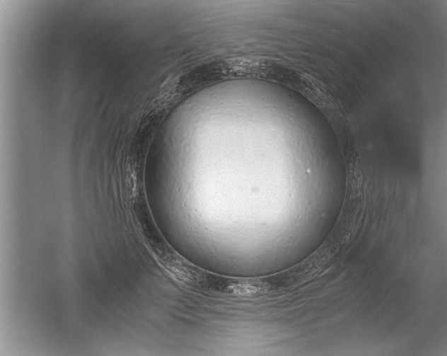 X0000052550703200507152200