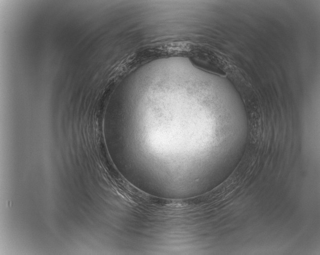 X0000052550704200507152200