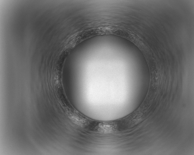 X0000052550706200507152200