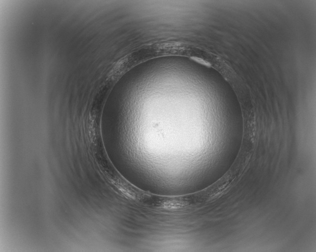 X0000052550708200507152200