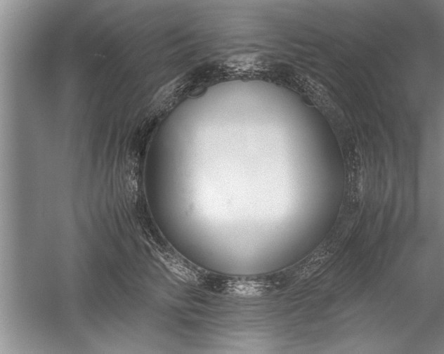 X0000052550710200507152200