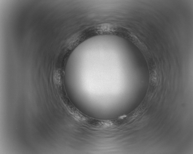 X0000052550715200507152200