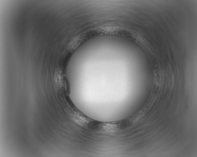 X0000052550718200507152159