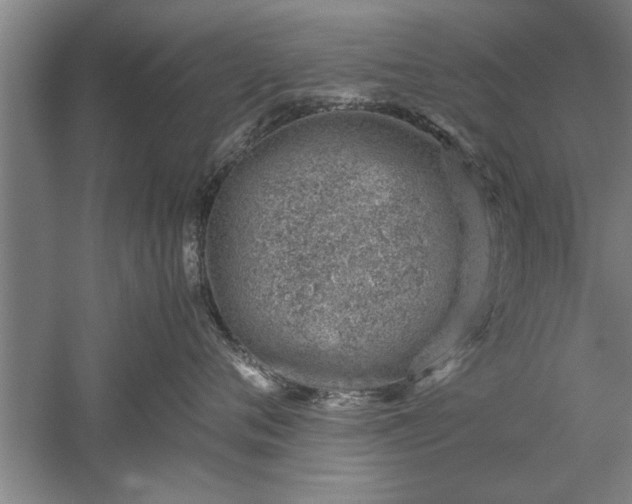 X0000052550720200507152159