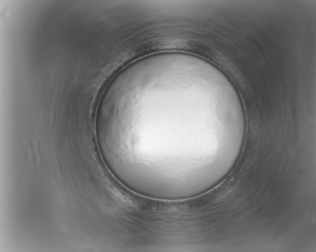 X0000052550721200507152159