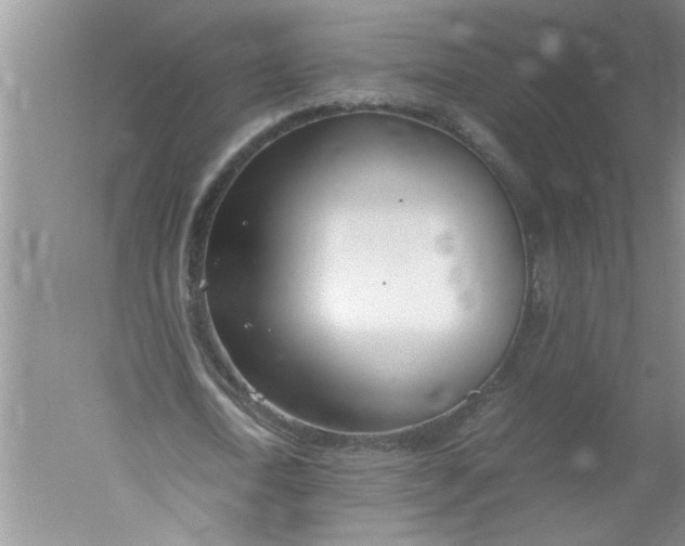 X0000052550722200507152159