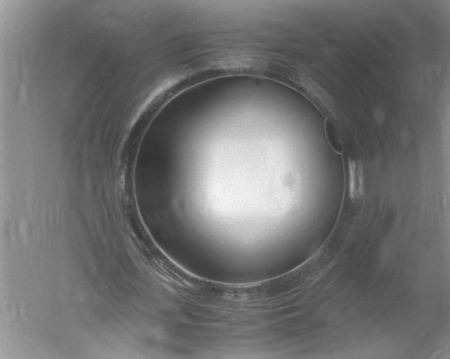 X0000052550723200507152159