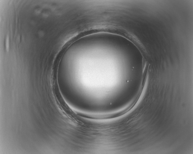 X0000052550724200507152159