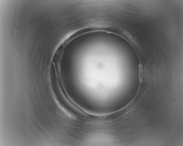 X0000052550726200507152159