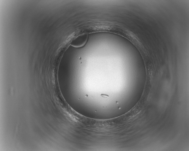 X0000052550729200507152159