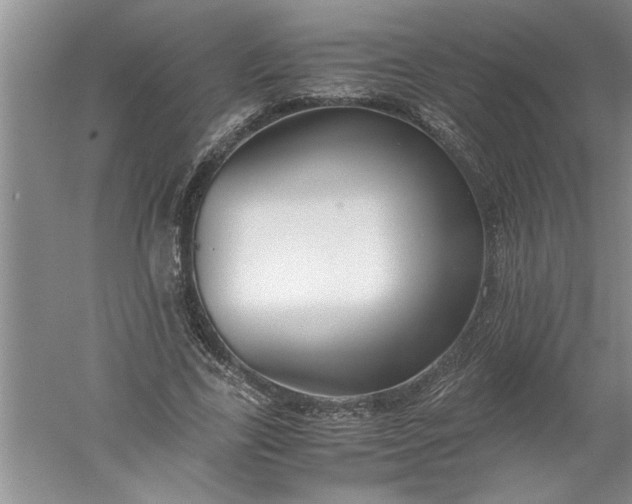 X0000052550731200507152159