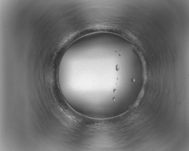 X0000052550732200507152159