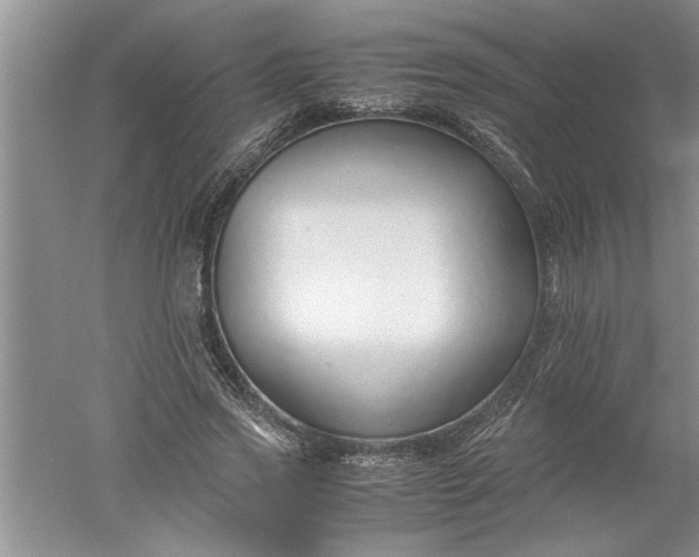 X0000052550733200507152159