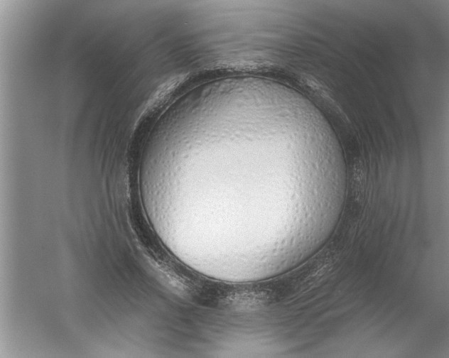 X0000052550734200507152159