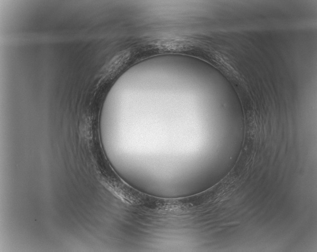 X0000052550738200507152159