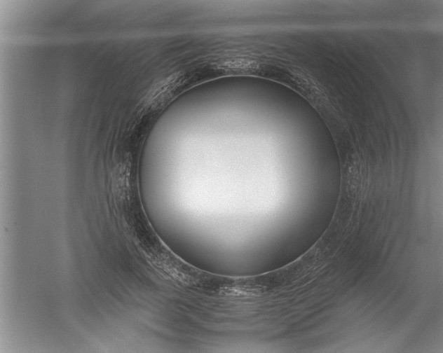 X0000052550739200507152159