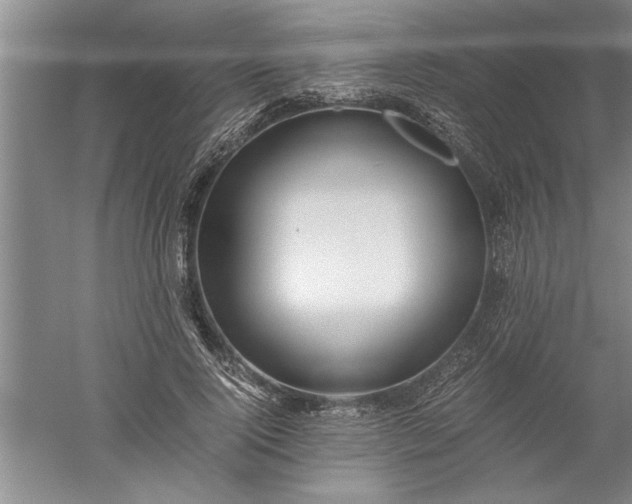 X0000052550740200507152159