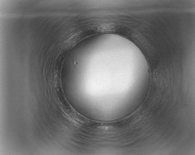 X0000052550741200507152159