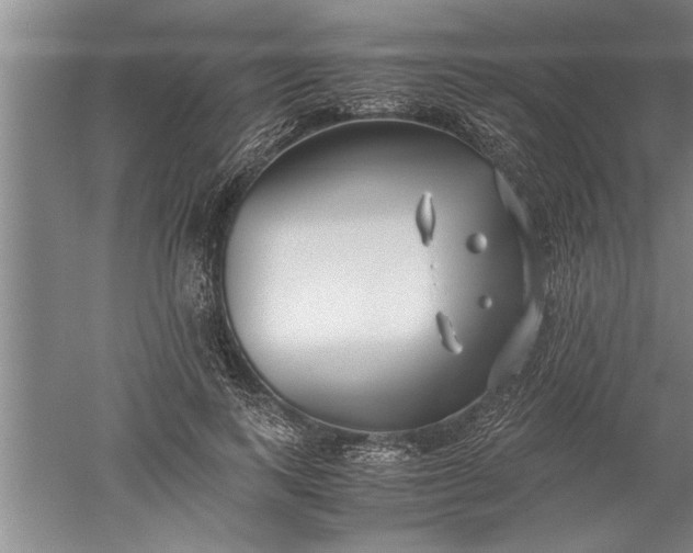 X0000052550743200507152159